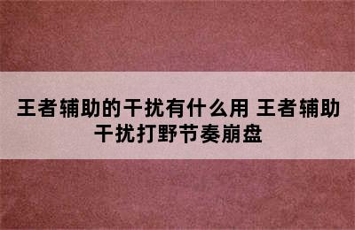 王者辅助的干扰有什么用 王者辅助干扰打野节奏崩盘